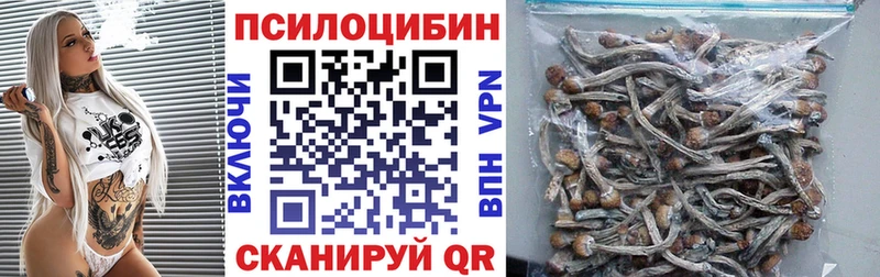 Галлюциногенные грибы GOLDEN TEACHER Райчихинск
